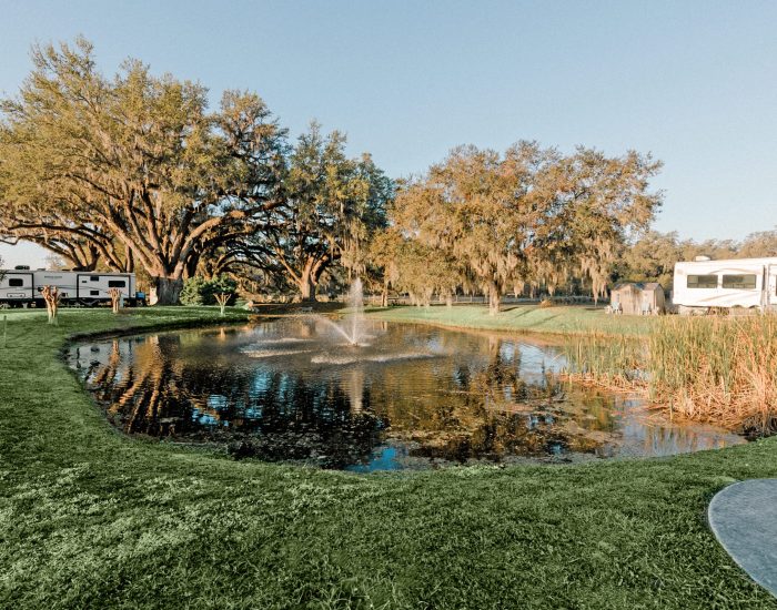 A small pond with a fountain sits in a grassy area surrounded by tall trees and reeds at Paradise Oaks RV in Bushnell, Central Florida; RVs are parked in the background under a clear blue sky.