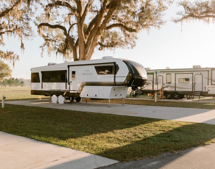A large white RV is parked on a concrete pad in a grassy area under a tree with Spanish moss at Paradise Oaks RV in Central Florida. Another RV is visible nearby, all bathed in the soft morning or evening sunlight characteristic of an RV resort.
